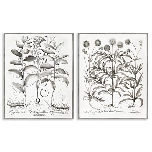 Giclées encadrées de plantes Stupell gris pour sublimer le salon