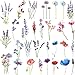 COKTAK 12 Blätter Aquarell Lavendel Temporäre Tattoos Frauen Bunt Winde Erbsenblume Edelwicke Fake Tattoos Blumen Hand Hals Temporary Tattoos Zum Aufkleben Auf Die Haut Aufkleber Kindertattoos Mädchen