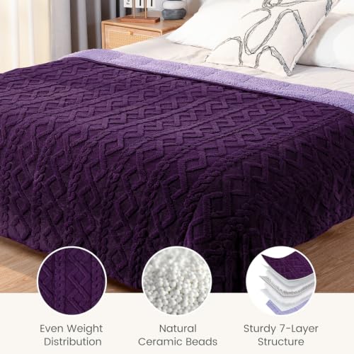 Image of Sherpa Fleece Adult Weighted Blanket Great for Sleep, 20 lbs Dual Sided Soft Fuzzy Heavy Blankets for Couch Bed Sofa, Cozy Warm Fluffy Jacquard Throw for Winter (Purple, 60 inch x 80 inch, 20 Pounds)