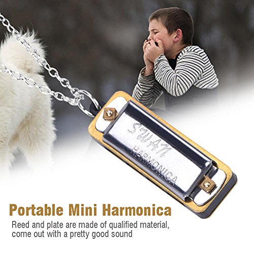 Mini Harmonica, Clé C 4 Trous Collier Harmonica Portable pour Enfants Débutant(Silver) - Les Beatles, Paul McCartney, John Lennon, RIngo Starr, George Harrison Mini Harmonica, Clé C 4 Trous Collier Harmonica Portable pour Enfants Débutant(Silver) – Image 4