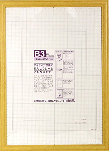 C^ z }`t[ B3 ؐ i` MS-39NT-B3