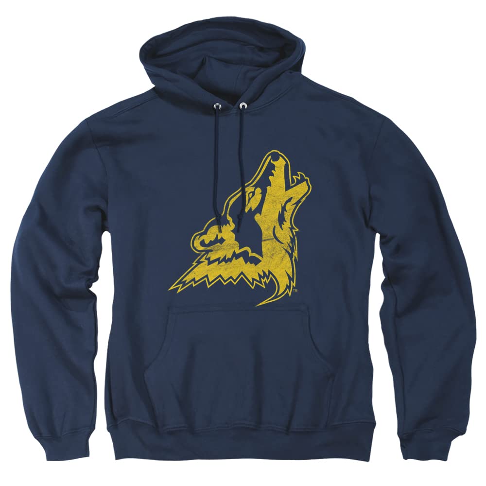 LOGOVISION Official Collegiate Distressed Primary Logo Adult Pullover Hoodie Collection — view 375