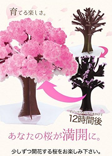 Amazon マジック桜 12時間で本物の桜の様にモコモコ育つマジック桜 日本製 インテリア オンライン通販