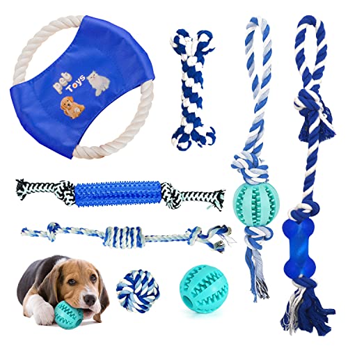 8 Stück Hundespielzeug Seil mit Ball, Zahnbürste Kauspielzeug für Große und Kleine Hunde, Hundespielzeug Set für Hunde ​Zahnpflege, Knochen Unzerstörbar aus Naturkautschuk (Blau) Cover