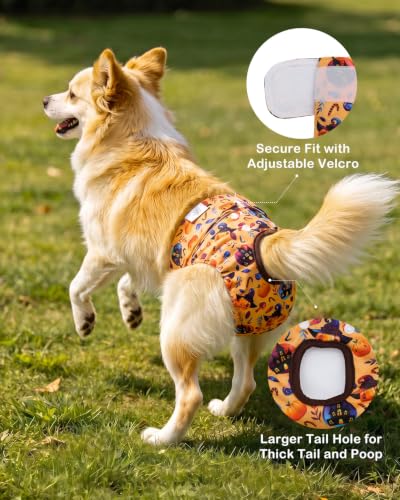 Image of CuteBone Dog Diapers Female Halloween Washable Small Medium Large 3 Pack Reusable Doggie Diapers Puppy Period Pants for Doggy Heat Cycle Peeing D83S