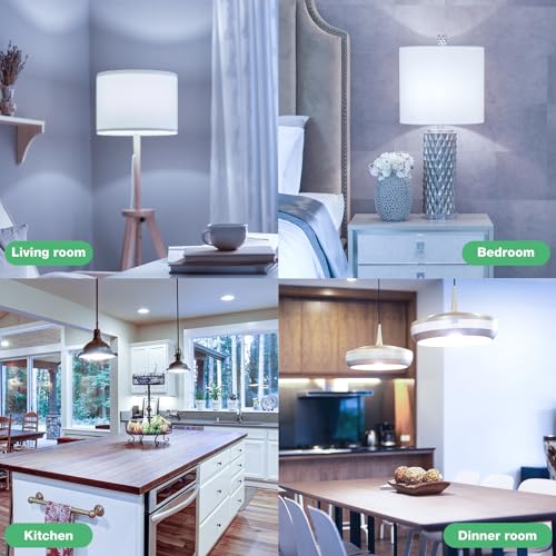 Image of A19 LED Light Bulbs Daylight 5000K, 100 Watt Equivalent LED Bulbs, 1500 LM, 15000 Hours, E26 Standard Base, Non-Dimmable, 13W Bright White LED Bulb for Bedroom Living Room Home Office, 12 Pack