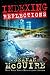 Indexing: Reflections (Indexing Series Book 2)