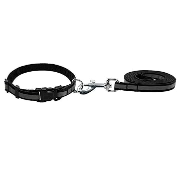 Pets Nylon Reflective Dog Leash and Collar Set, Black, Suitable for Puppies and Small Dogs