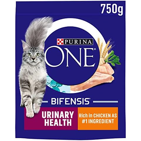 Purina ONE Dry Cat Food for Urinary Health Cover