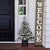   Haute-Decor-36-Inch-Tall-UNLIT-Flocked-Stockhorn-Potted-Tree-with-Berries-PINECONES-Black-Wooden-Pot