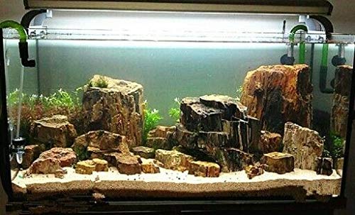 View 3