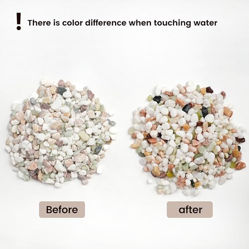 Image of CONSDAN 300 LBS Natural Gravel for Fish Tank, StoneCreek Betta Fish Aquarium Gravel, Vase Filler, River Rocks, Fish Tank Decorations, Perfect for Aquarium Decor, Fish Tank, Indoor Plant, Mixed Color