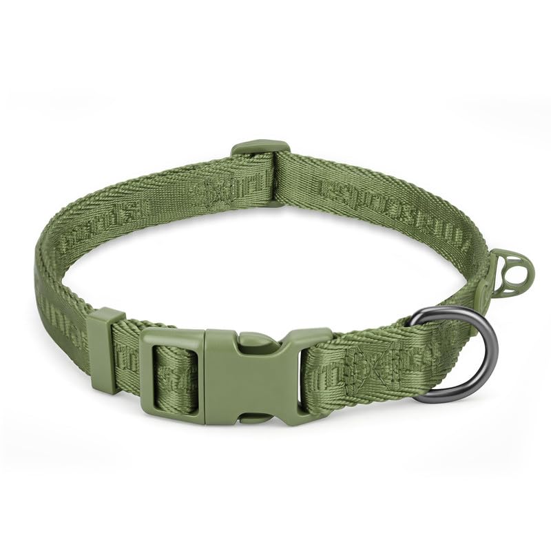Dog Collar, Durable Nylon Construction, Adjustable Size, Misty Green, XL