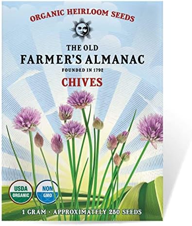 The Old Farmer's Almanac Heirloom Organic Chive Seeds - Approx 250 Seeds