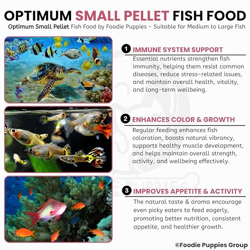 Image of Foodie Puppies Optimum Fish Food - 1Kg (Small Pellet) | Highly Digestible & Added with Corn Protein Meal & Fish Oil | Highly Nutritious Fish Food for All Aquarium Fish with Free Key Ring