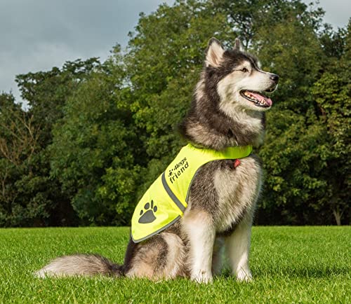 4LegsFriend Hunde Sicherheitsweste mit Leinenbefestigungsring 5 Größen - Hohe Sichtbarkeit für Outdoor Aktivitäten Tag und Nacht, Hält den Hund Sichtbar, Sicher vor Autos und Jagtunfällen (M)