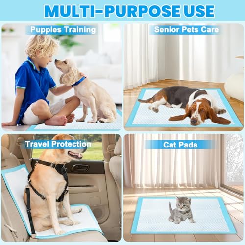 Jukibole Hunde Trainingspads 60x60cm – 100 Stück Einweg Unterlagen, 6-lagige PIPI Matten für Welpen & Hunde, Ultra Saugfähig, Auslaufsicher & Geruchsneutral, Blau, Baby Einweg Wickelunterlagen