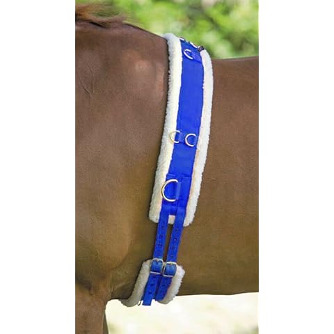 Horse Master Best On Horse Fleece Padded Lunge Roller - Pony Horse Lunging Equipment with Adjustable Girth - Cob Under Belly Belt Strap for Training Schooling Outdoor Breaking Stable Yard, Royal Blue Cover