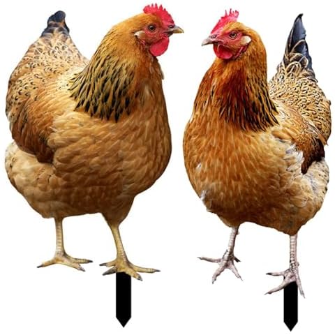 Décor de Jardin Poule Xiixuuj Cover