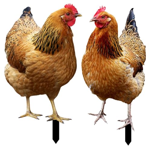 Sculptures réalistes de poule et décors pour jardin et cour extérieure