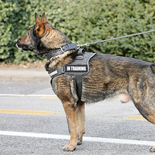 In Training Patches,Coolrunner 2 Pcs Reflective Dog Patches With Hook And Loop Fastener Dog Patches For Large Dog Vest Harness(6.3 X 2 In) #TOP5