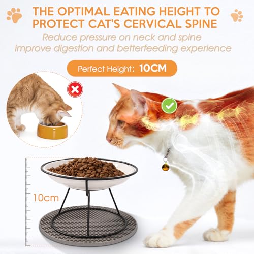 FoiiLiio Raised Cat Bowl, Set of 2, Raised Feeding Bowl, Cat Ceramic Cat Bowl Set, High 10 cm Cat Bowls for Food, Water with Metal Stand, Black, Cat Bowl with Bowl Mat, Silicone