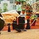 Fiskars Gartenwerkzeuge-Set, 7-teilig, Floristenschere SP14, Pflanzschaufel mit Bürste, Handschaufel, Pflanzmatte, Aufbewahrungsbox, 0,3-l-Pflanzensprüher, 1,2-l-Gießkanne mit Deckel, 1076797