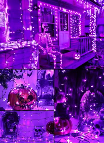 Image of Brightown Purple Battery Operated Christmas String Lights with Timer | 8ft 20LED Mini Christmas Tree Lights for Indoor Outdoor Bedroom Wedding Party Holiday Xmas Decoration