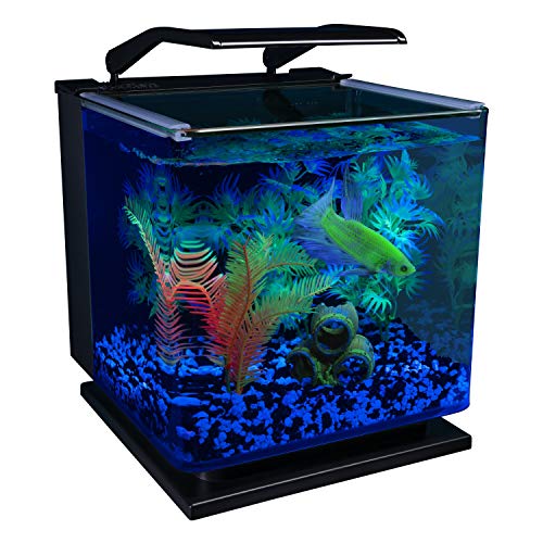 Glofish AQ-78336 Betta Shadowbox Aquarium Kit thumb #5