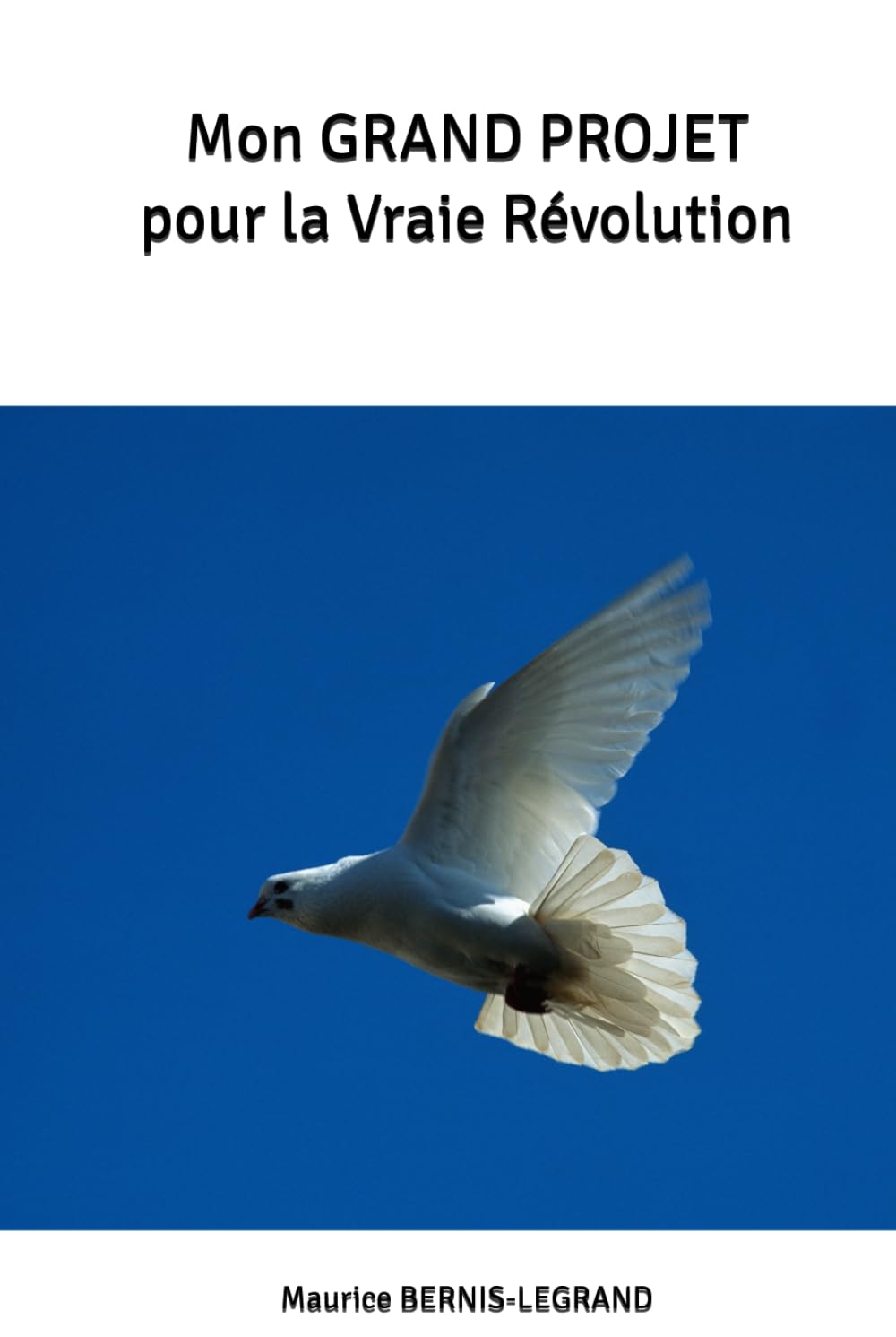 Mon GRAND PROJET pour la Vraie Révolution