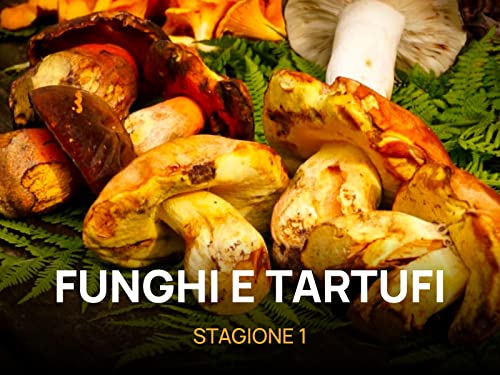  Funghi e tartufi