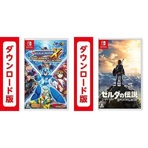 Switch ゼルダロックマンセット