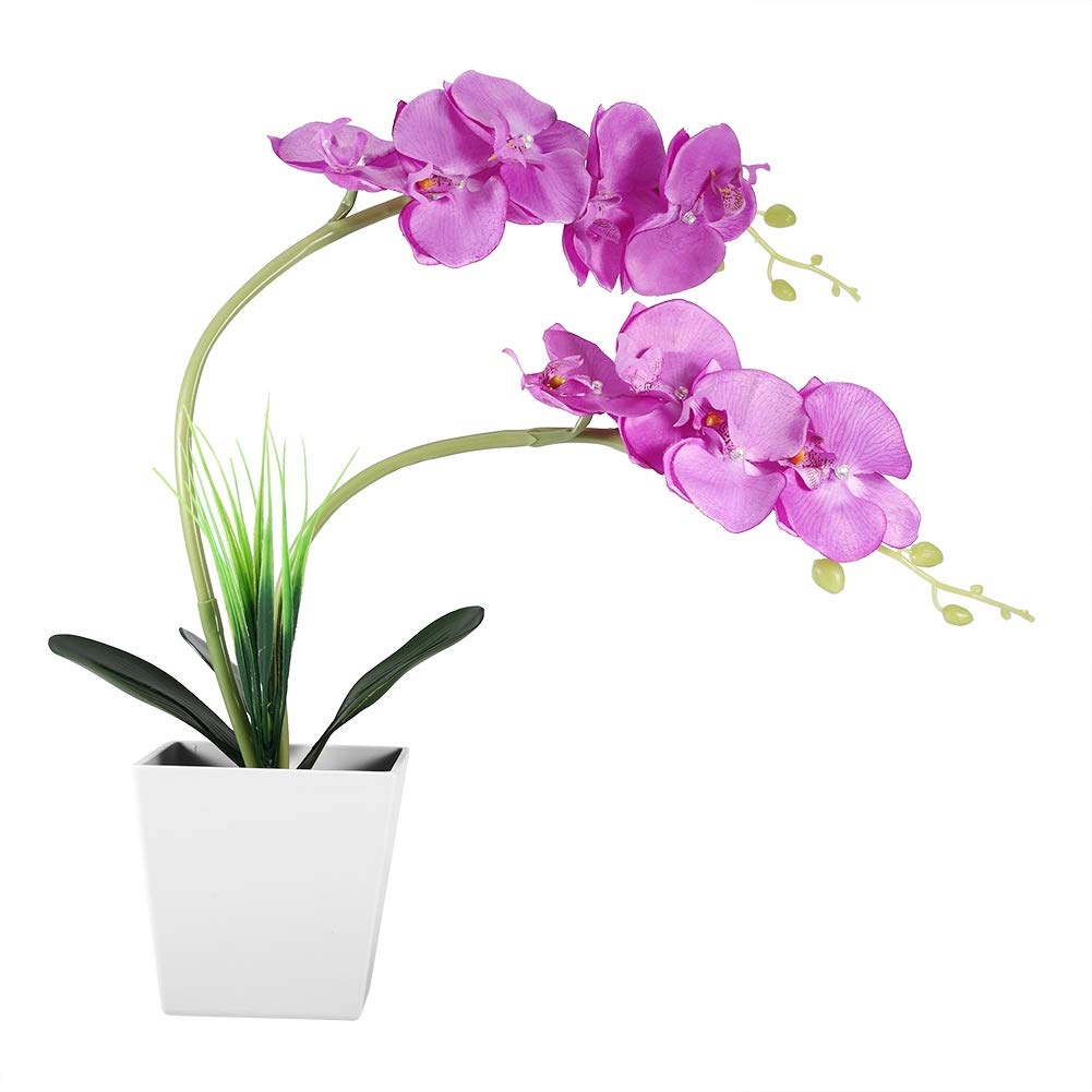 Simulation bonsaï Phalaenopsis LED pour illuminer une table de salon