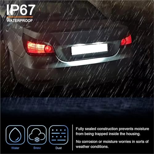 Luz matrícula LED Serie 3 E46 Coupé 2004-2006 acabado premium blanco 7