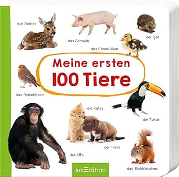 Board book Meine ersten 100 Tiere Book