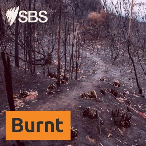 Burnt: No Ordinary Fire