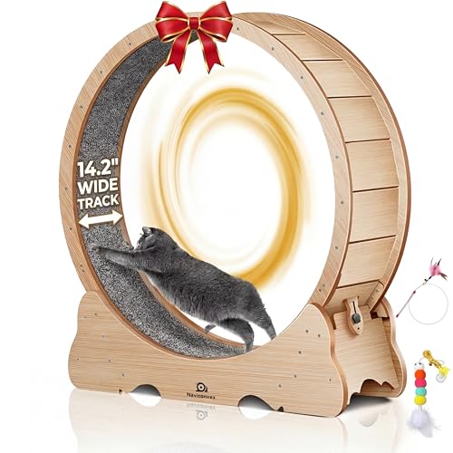 Large Cat Exercise Wheel (43) Indoor Treadmill