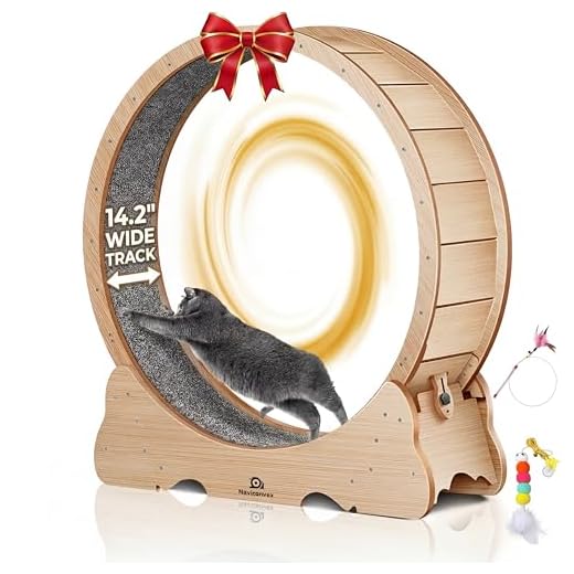 Naviconvex XL Cat Exercise Wheel