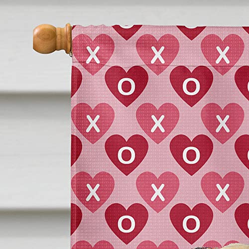 Drapeau Carlin Coeurs Saint-Valentin grand format : la solution pour un jardin coloré en hiver - 4