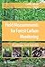 Produktbild Field Measurements for Forest Carbon Monitoring: A Landscape-Scale Approach