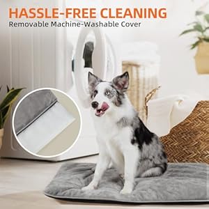 Mora-Pets-Dog-Crate-Pad-Waterproof-Dog-Bed-Mat-Ultra-Soft-Pet-Bed-with-Removable-Washable-Cover-Anti-Slip-Bottom-Memory-Foam-Kennel-Pad-for-Dogs-Cat-Puppy-24-x-18-inch-Light-Grey - Cucciolini Doodles   Mora-Pets-Dog-Crate-Pad-Waterproof-Dog-Bed-Mat-Ultra-Soft-Pet-Bed-with-Removable-Washable-Cover-Anti-Slip-Bottom-Memory-Foam-Kennel-Pad-for-Dogs-Cat-Puppy-24-x-18-inch-Light-Grey