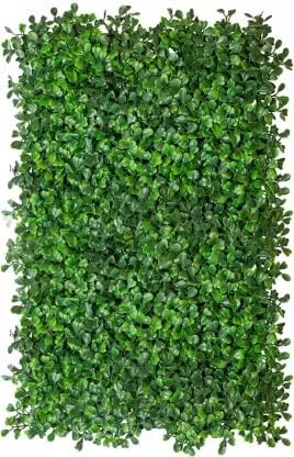 PS Agro Input Artificial Wall Grass | Small Leaf Boxwood Hedge Panels | Green Grass Mat Tiles for Wall, Roof, Ceiling, Balcony & Home Decor | 61×43 cm (1 Tile)-image-19