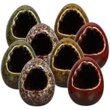 TIKODIDA Japanischer Stil Keramik Trockeneisbehälter 8 Stück Vielseitig für Hotels und Konditoreien als Sashimi Tischdekoration