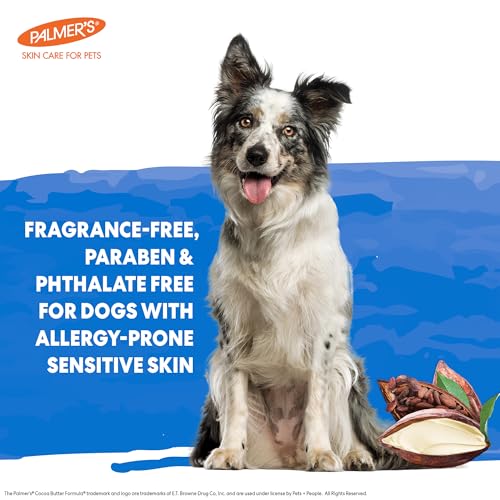 Image of Palmer's for Pets Hot Spot and Itch Relief Spray for Dogs with Cocoa Butter - Conditioning No-Rinse Skin Allergy Relief Mist with Vitamin E, Fragrance Free Formula, 8 Fl Oz