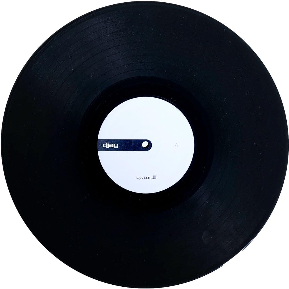 Stokyo Algoriddim djay Pro AI 12" Control Vinyl