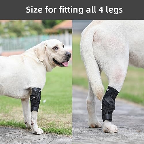 Image of (S /M) Dog Leg Brace for Back Leg, Canine Hock Brace for Legs, Joint Warps Strong Support Help for Hind Leg Injuries Sprains Arthritis