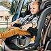 Chicco MyFit 2-in1 Harness Booster Car Seat, 5-Point Harness Car Seat and High Back Booster, for Children 26.5-100 lbs. | Haven/Purple