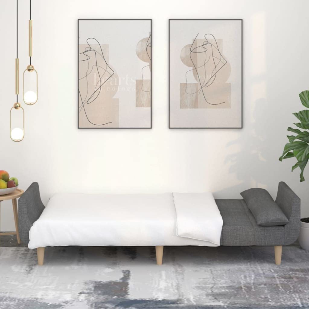 Sofá cama de 2 plazas con 2 cojines, color gris claro, sofá