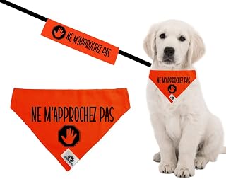 Kit Manchon de laisse et Foulard Bandana pour chien réactif NE M'APPROCHEZ PAS se glisse sur le collier 3 grandeurs disponibles (Medium)