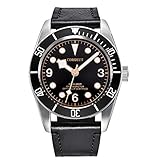 Corgeut Luminous Sapphire Glass Diver Automatic Mechanical Mens Watch,Miyota 8215 Movement (8010B-goldblack)